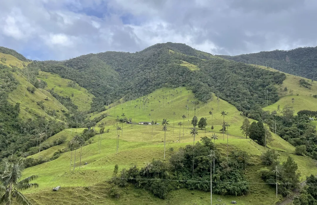 senderos ecológicos en el Quindío