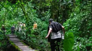Caminatas por el Quindio