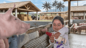 5 razones para visitar Panaca en familia