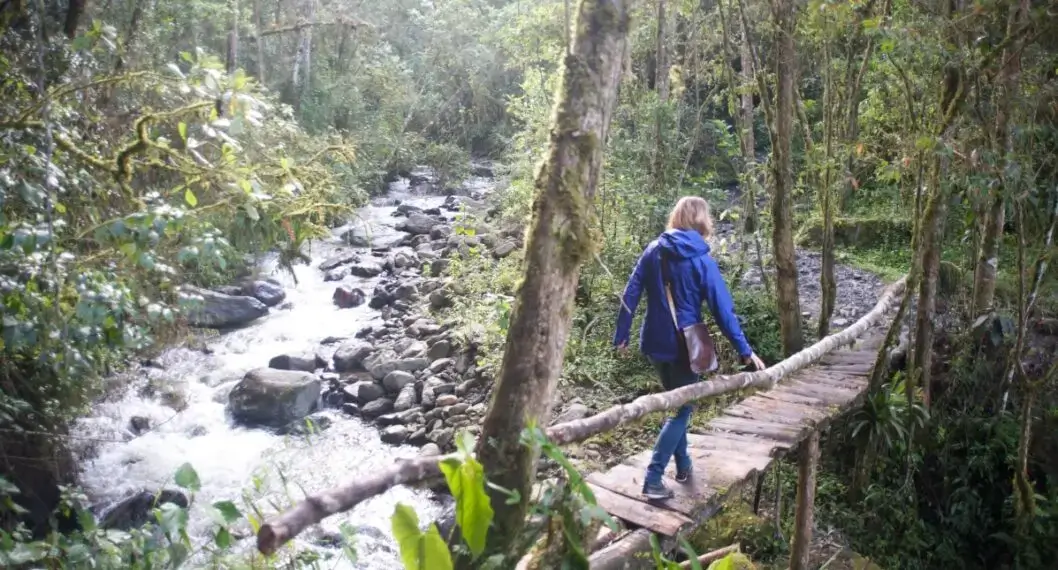 Senderismo por el Quindío