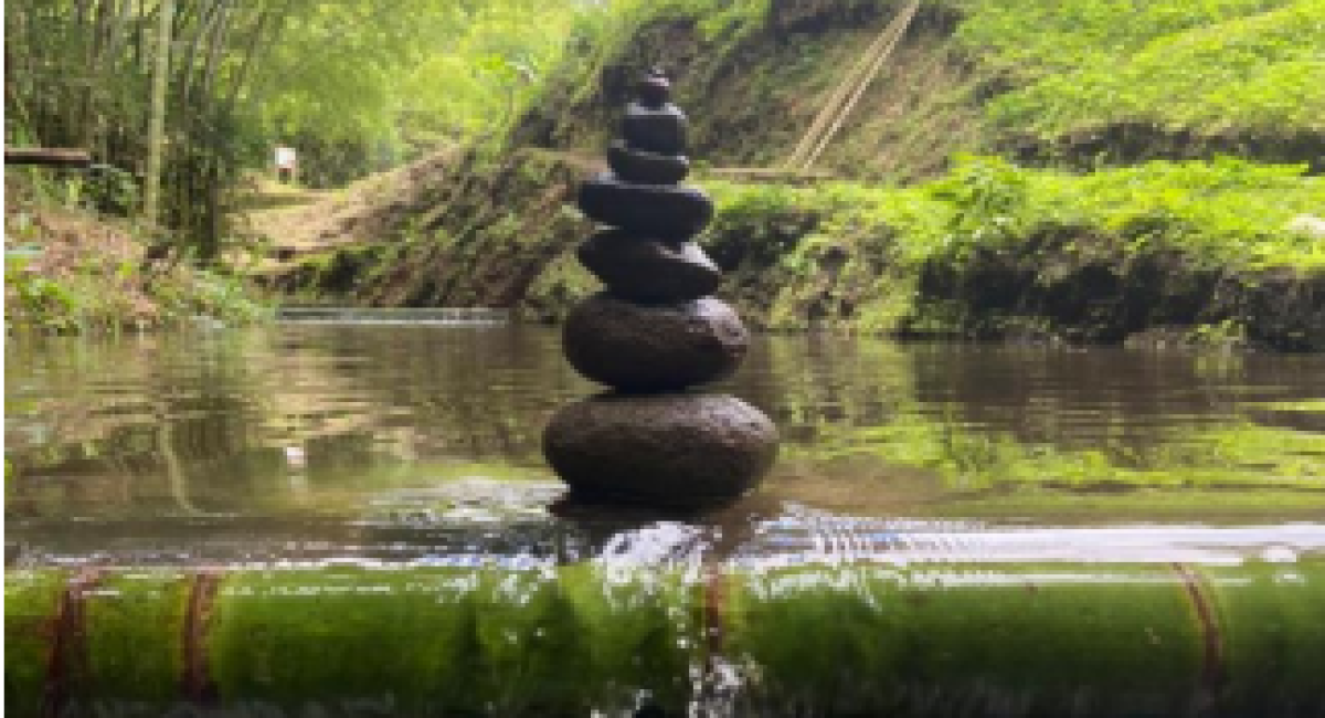 Captura de pantalla 2025-07-25 194226