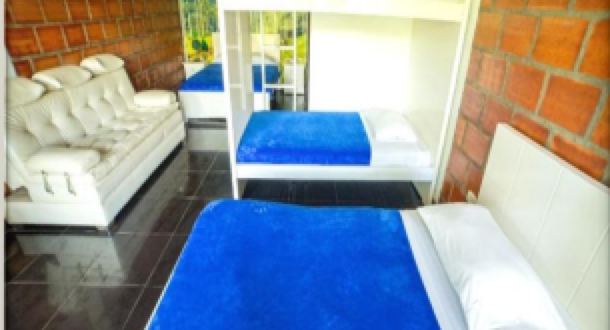 Captura de pantalla 2025-07-25 194239